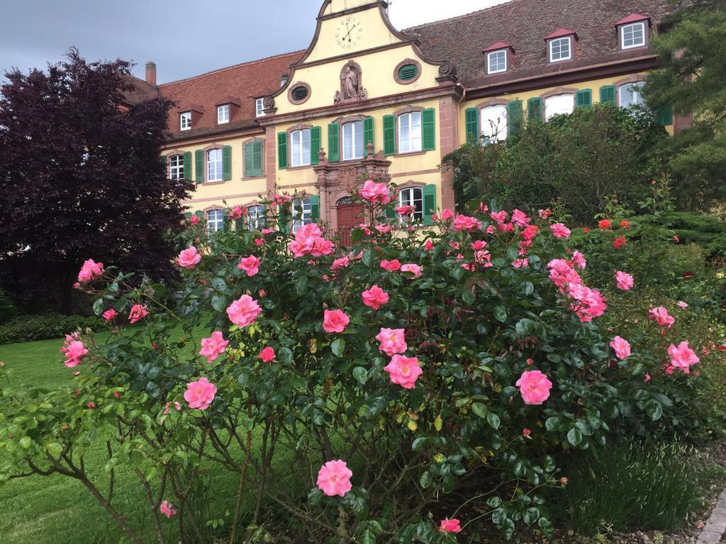 Haus Gisela Apartment Endingen am Kaiserstuhl Bagian luar foto